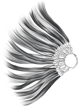 Accès prioritaire aux Systèmes de Collection