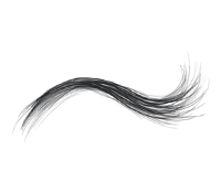 Cliniques de transplantation capillaire