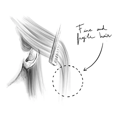 Cheveux fins et fragiles